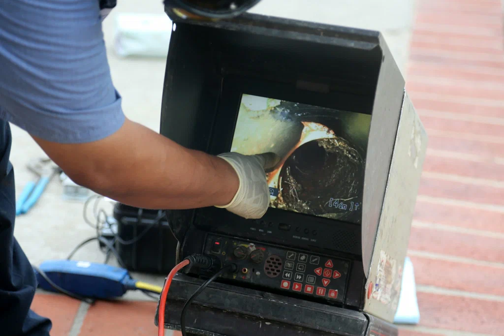 Technician viewing a drain inspection camera in Zephyrhills